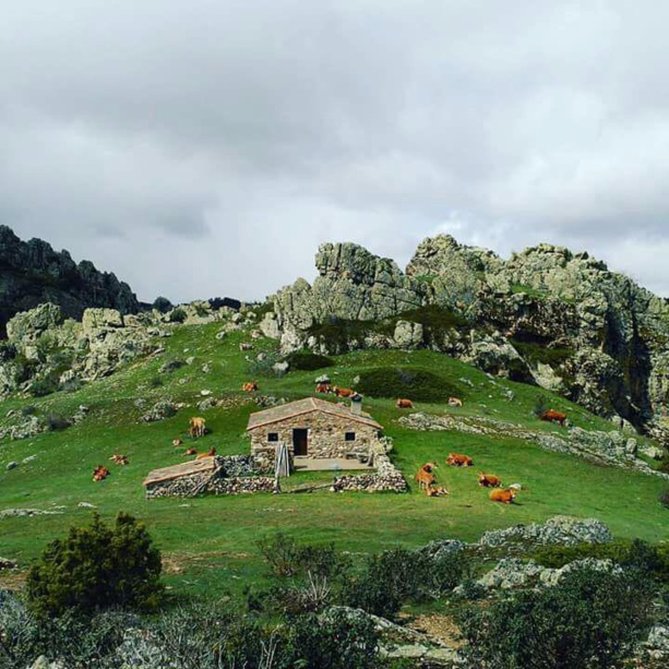 Photo by Marta Corella, Orea (Spain) Photo by Marta Corella, Orea (Spain)