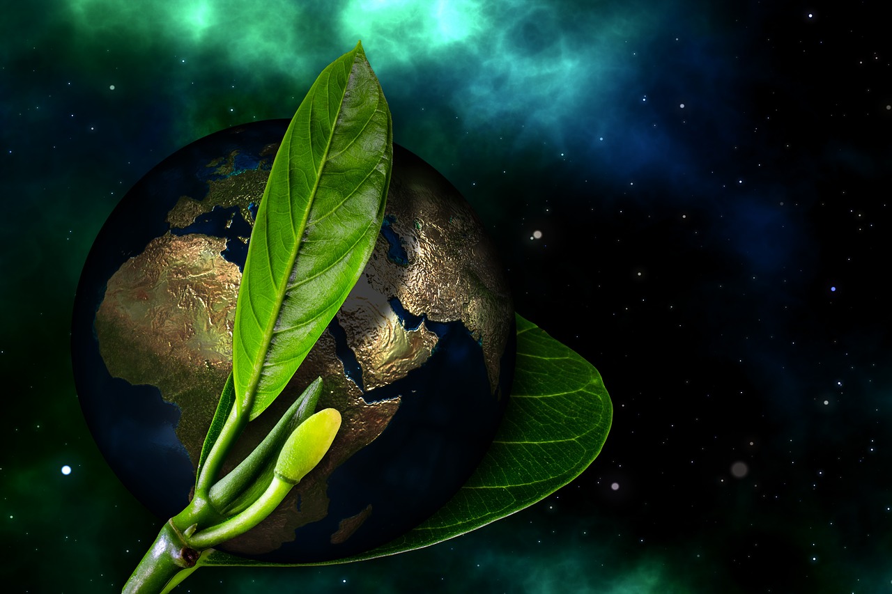 Geralt. Pixabay. Geralt. Pixabay.